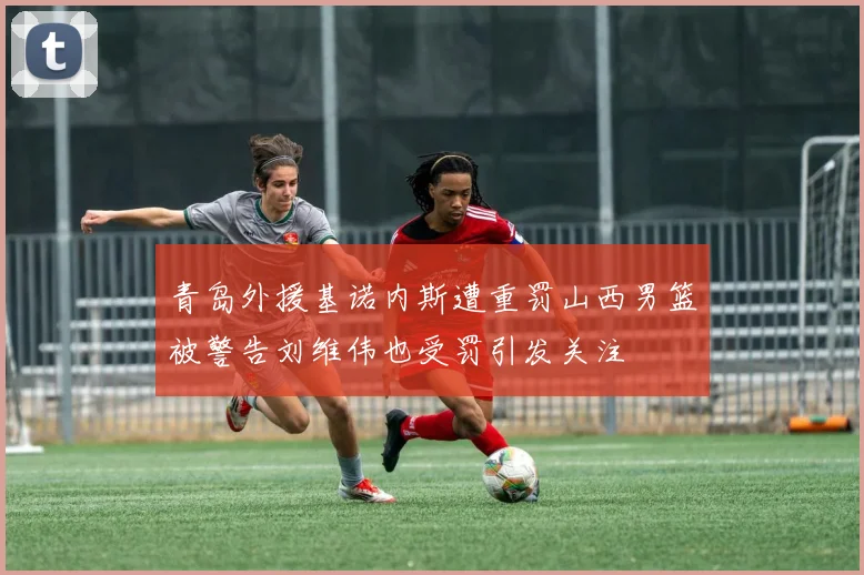 青岛外援基诺内斯遭重罚山西男篮被警告刘维伟也受罚引发关注