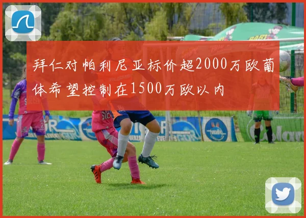 拜仁对帕利尼亚标价超2000万欧葡体希望控制在1500万欧以内